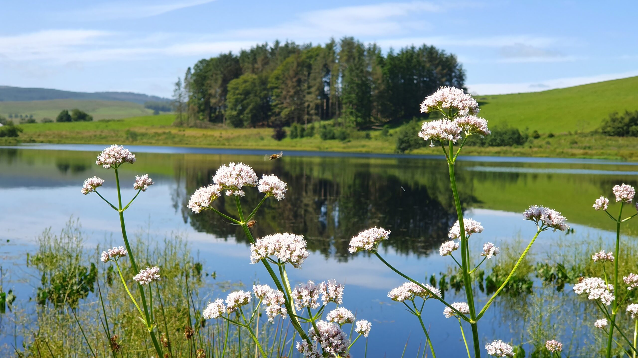 Leave Our Hills Alone supports meaningful action to address climate change and recognises the responsibility to reduce carbon emissions at local, national, and global levels