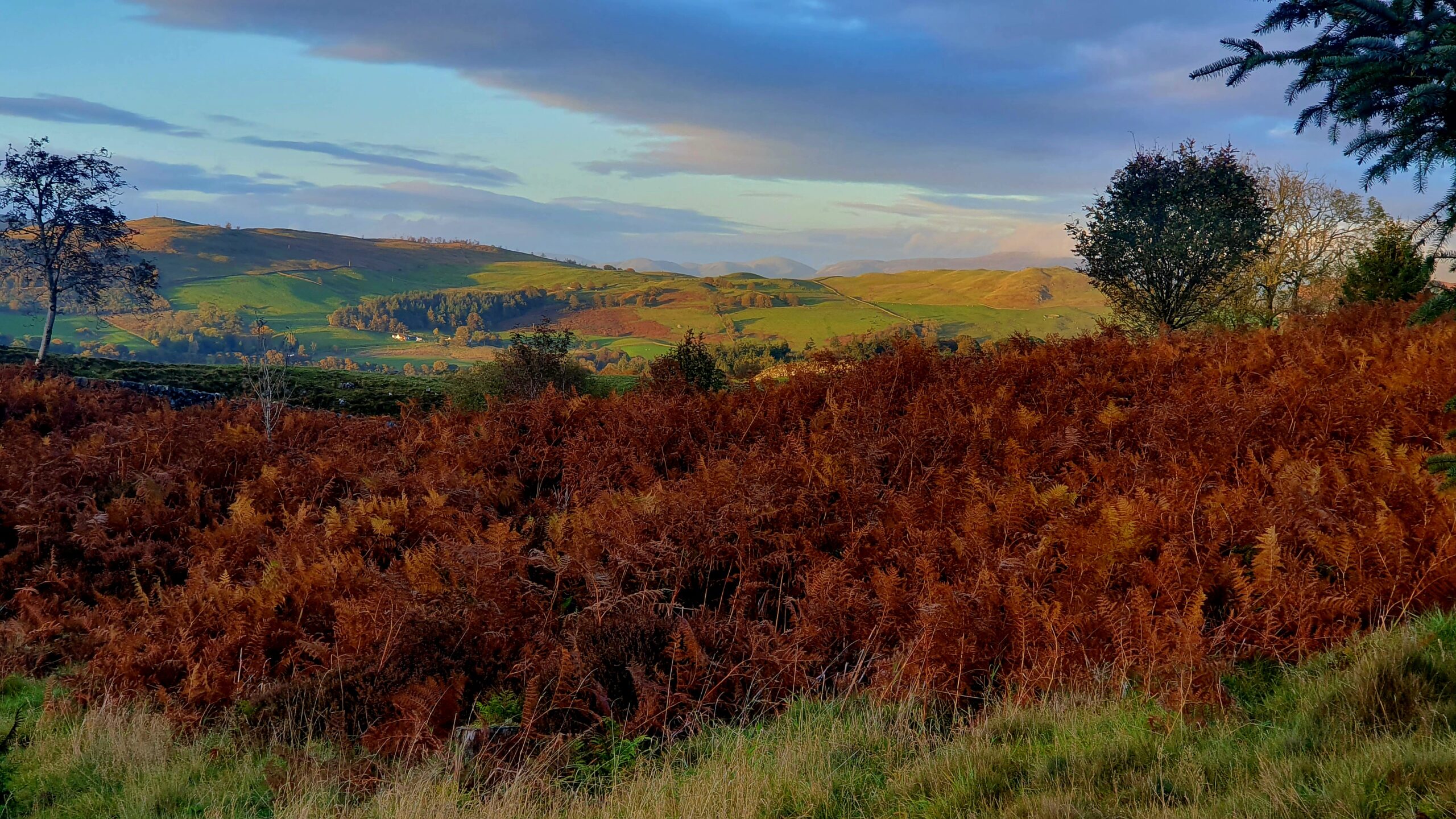 Wildlife Countryside and Sunsets